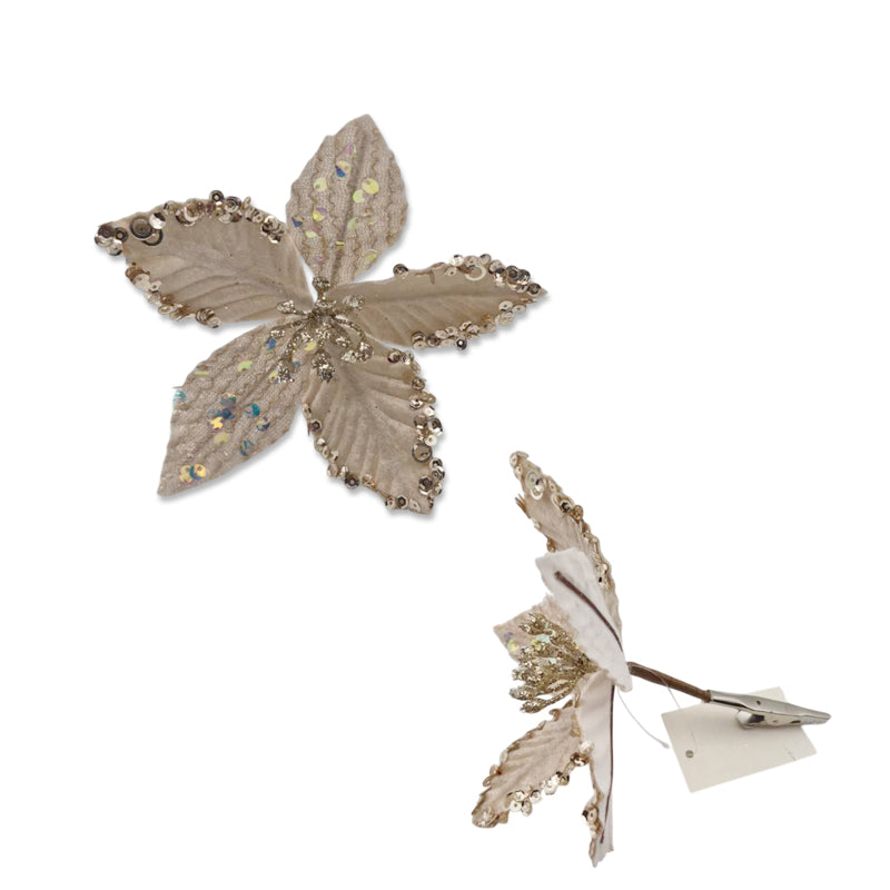 Xmas Flower 30X31cm Glitter Edge Chamoagne