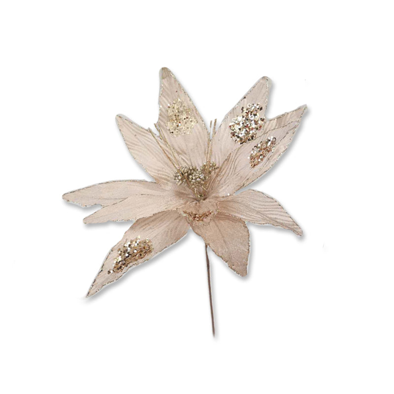 Xmas Flower 40X40cm Glitter Champagne