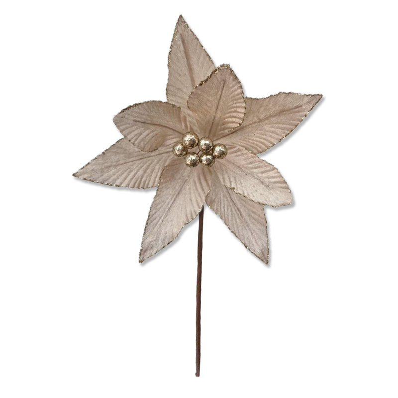Xmas Flower 25*24cm Champagne