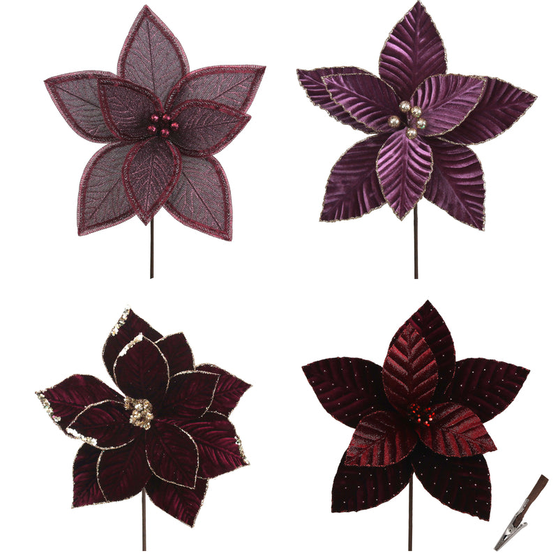 4A Spicy Plum Pudding Poinsettias 29-31cm