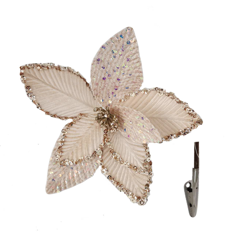 Xmas Flower 40X30 Champagne