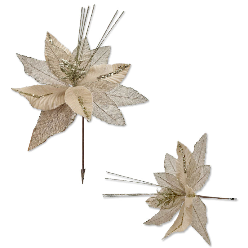 Xmas Flower 40*32cm Champagne