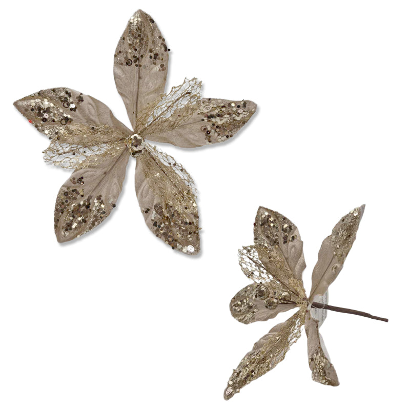 Xmas Flower 21*20cm Champagne