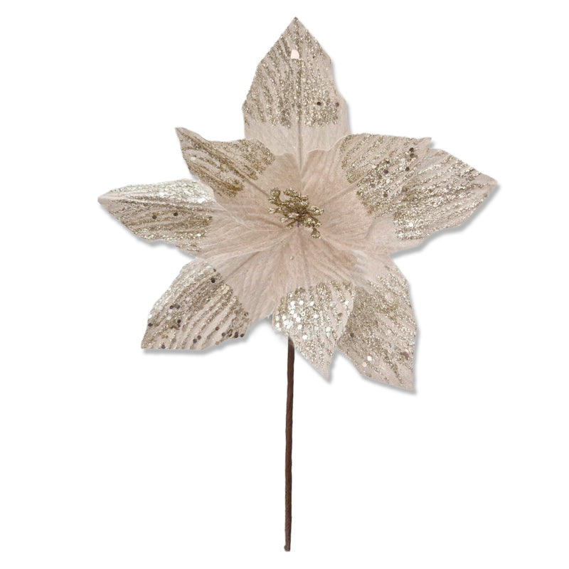Xmas Flower 18*25cm Champagne