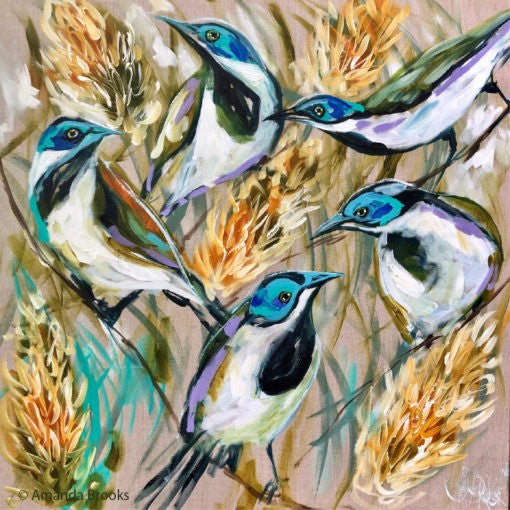 Coaster - Blue Face Honey Eater
