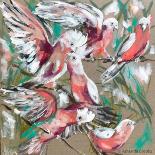 Coaster Gorgeous Galahs