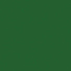 Kc 12x12 Weave Cardstock - Cactus