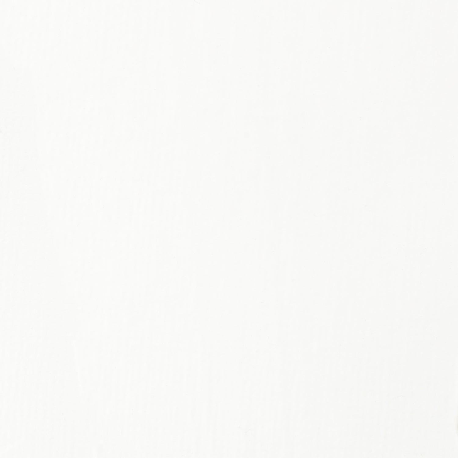 Liquitex Basics Acrylic 118ml Transparent Mixing White