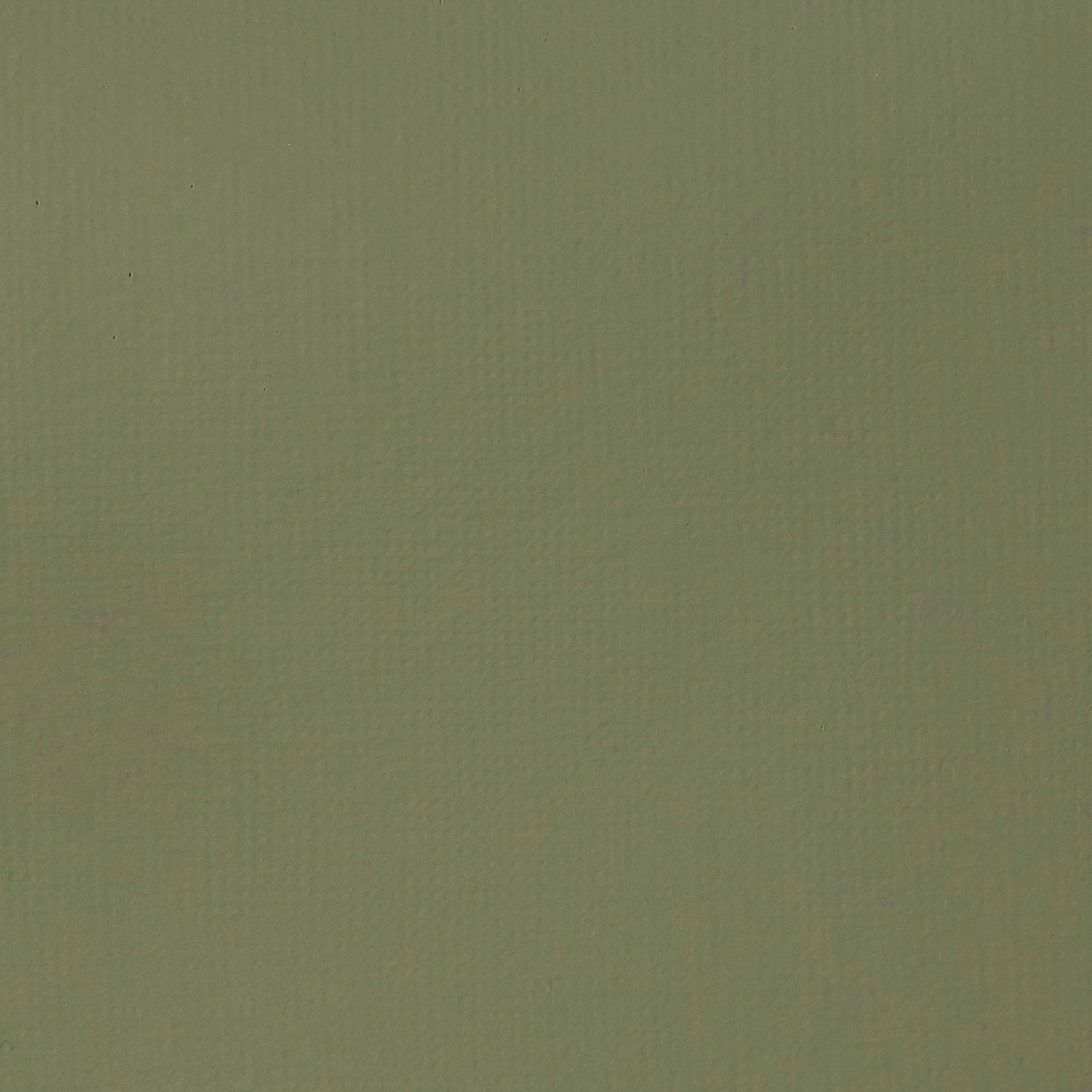 Liquitex Basics Acrylic 118ml Green Gray