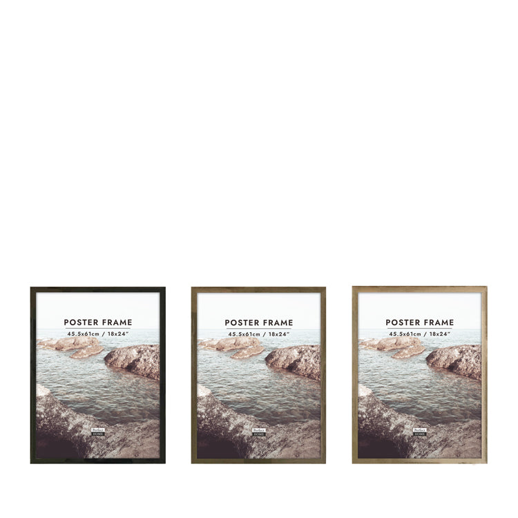 Newport 18x24 Poster Frame 3 Assorted Colours