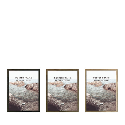 Newport 18x24 Poster Frame 3 Assorted Colours