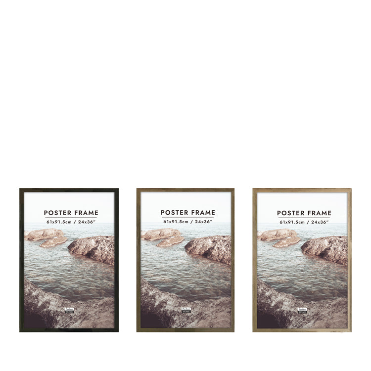 Newport 24x36 Poster Frame 3 Assorted Colours