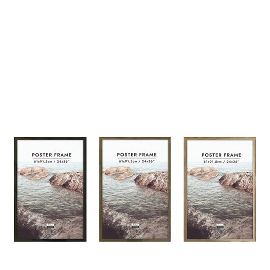 Newport 24x36 Poster Frame 3 Assorted Colours