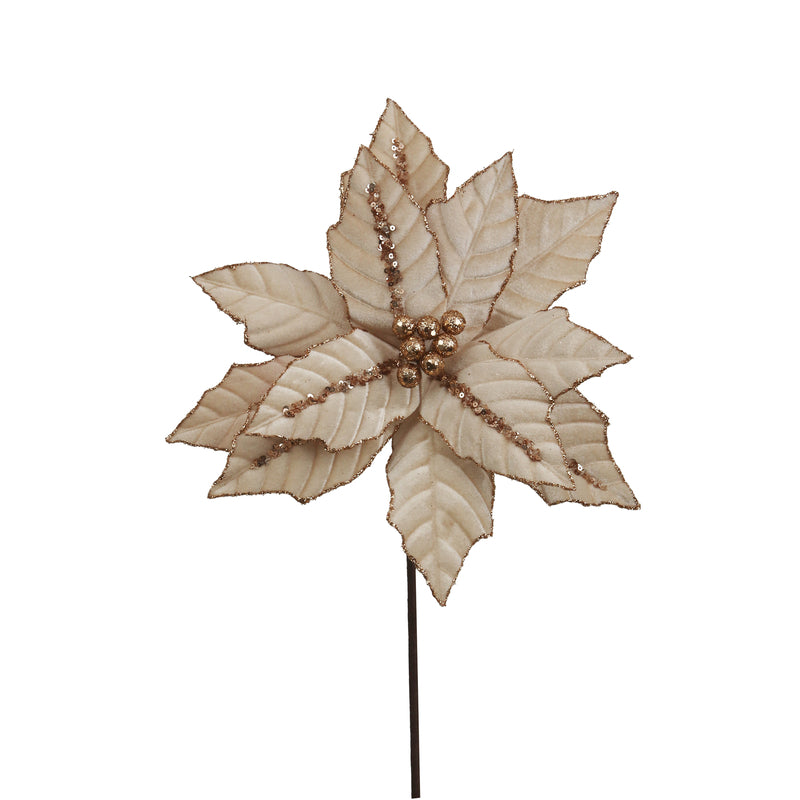 30cm Champagne Velvet Poinsettia W/Rose Gold Glitter Details 50cm Stem