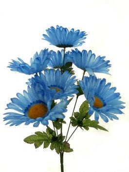 Daisy Bundle Blue
